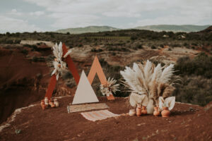 Séance photo fleurs séchées au Canyon Du Diable sur Terre Rouge