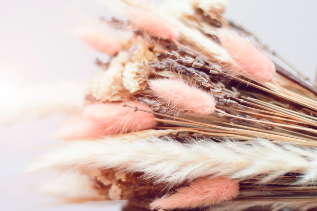 Ateliers Floraux pour Entreprises à Montpellier