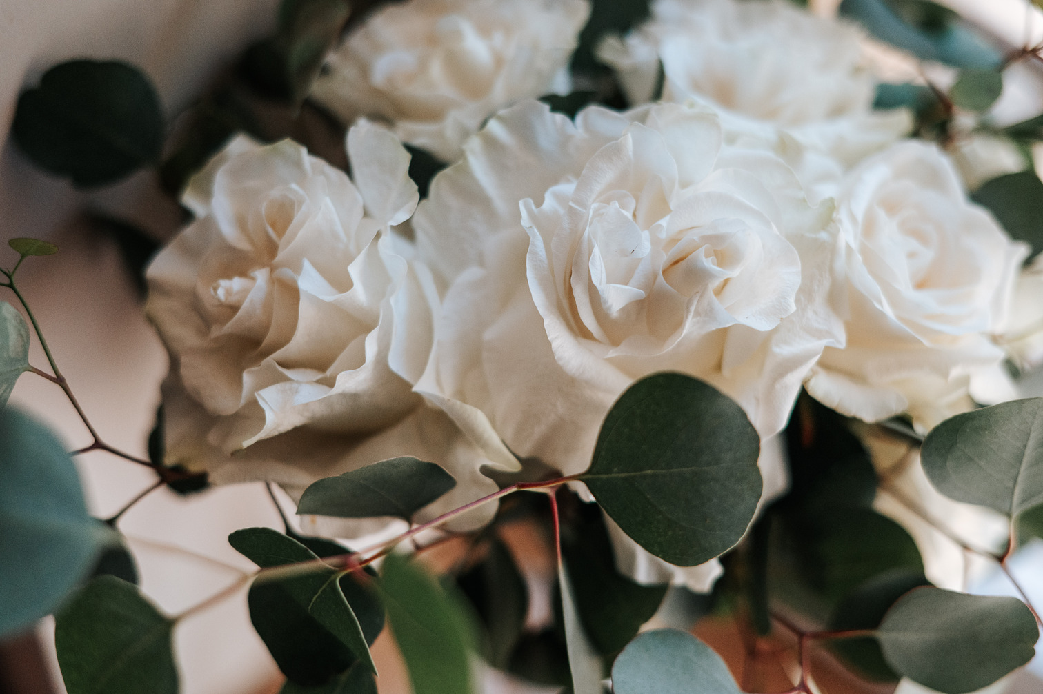 Carrie & Daniel – Chateau Rieutort à Saint-Pargoire
