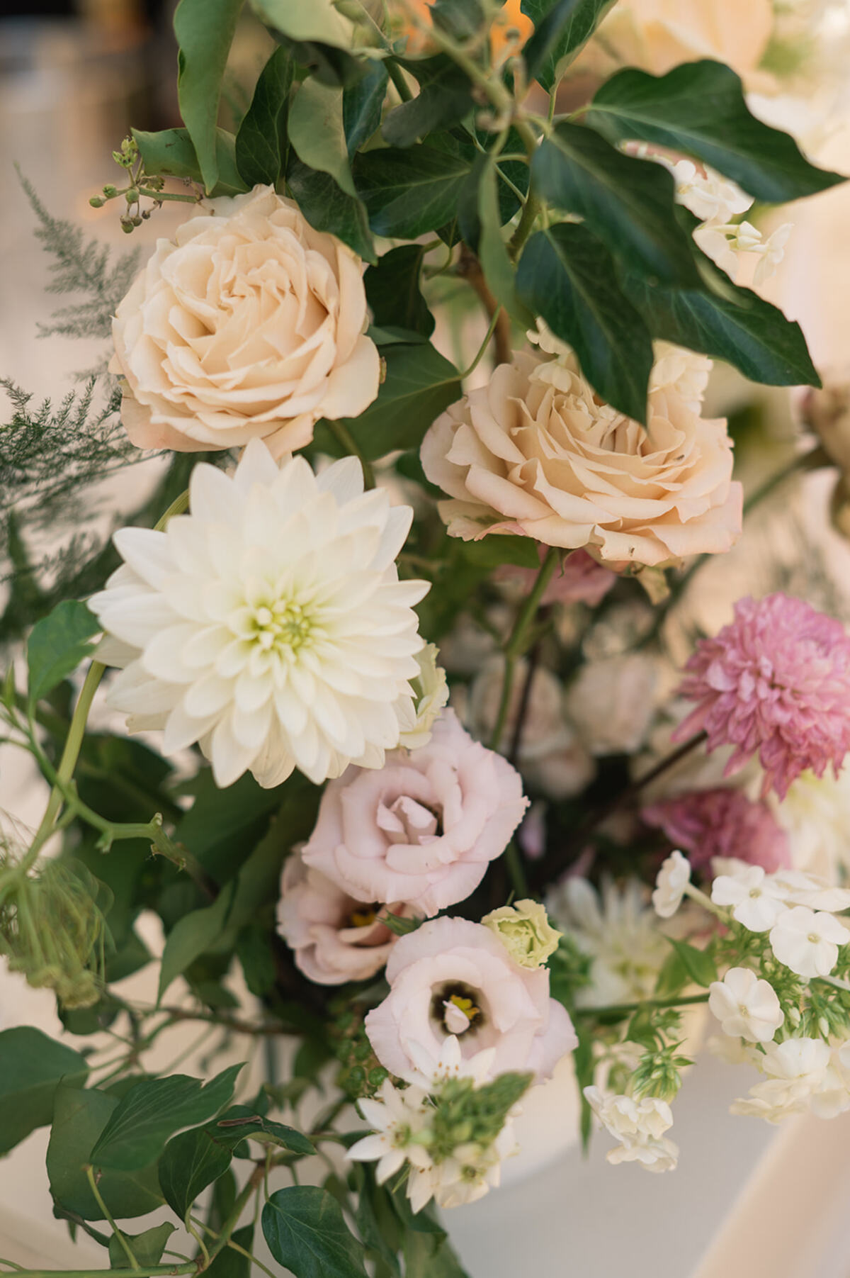 Mariage d’Ashleigh & Richard