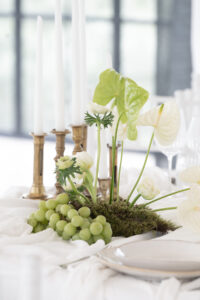 Séance photo de fleurs au Domaine Puech Haut