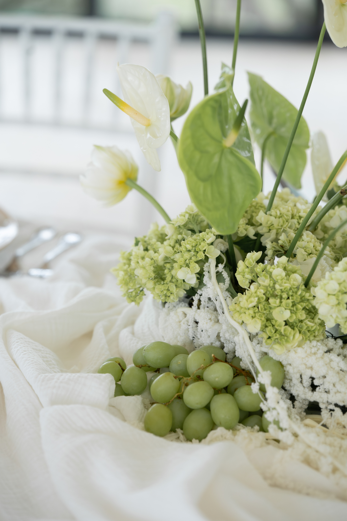 Séance photo de fleurs au Domaine Puech Haut