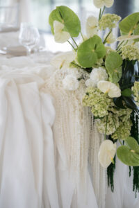 Séance photo de fleurs au Domaine Puech HautSéance photo de fleurs au Domaine Puech Haut