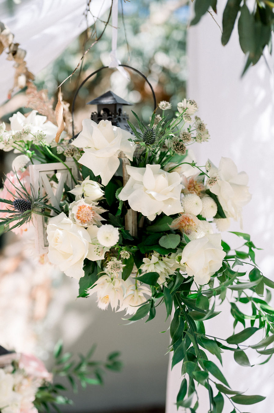 La rose Reflex : ma tendance florale préférée à Montpellier