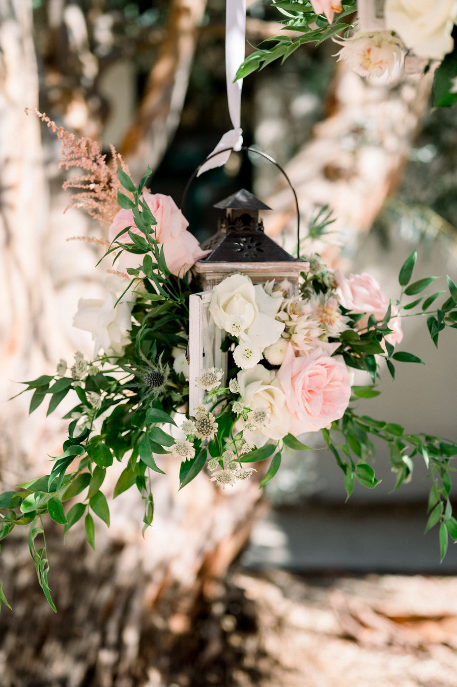 La rose Reflex : ma tendance florale préférée à Montpellier