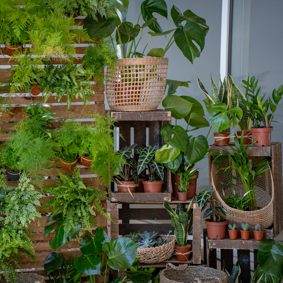 Un mur végétal pour vos évènements d’entreprise à Montpellier