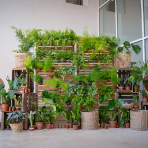 Un mur végétal pour vos évènements d’entreprise à Montpellier