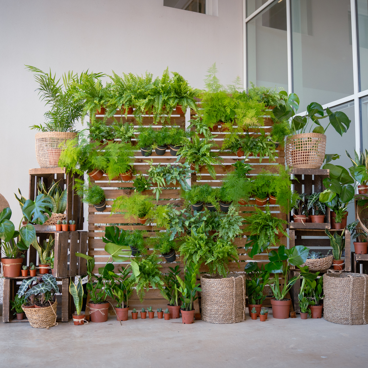 Un mur végétal pour vos évènements d’entreprise à Montpellier