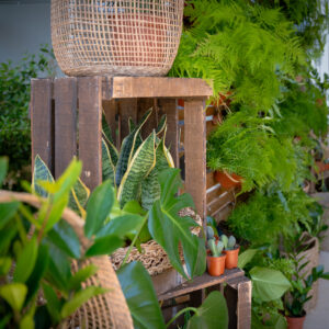 Un mur végétal pour vos évènements d’entreprise à Montpellier