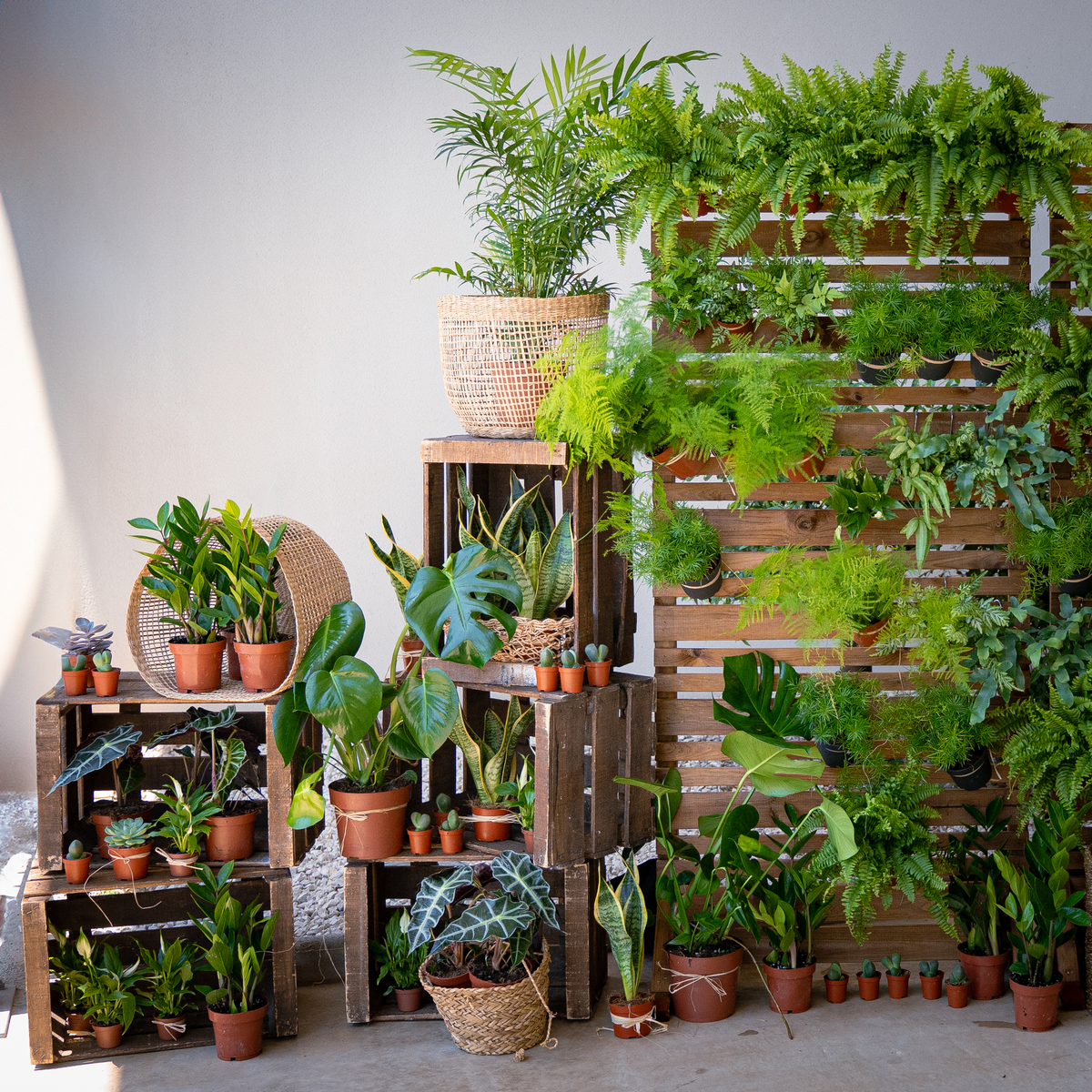 Un mur végétal pour vos évènements d’entreprise à Montpellier