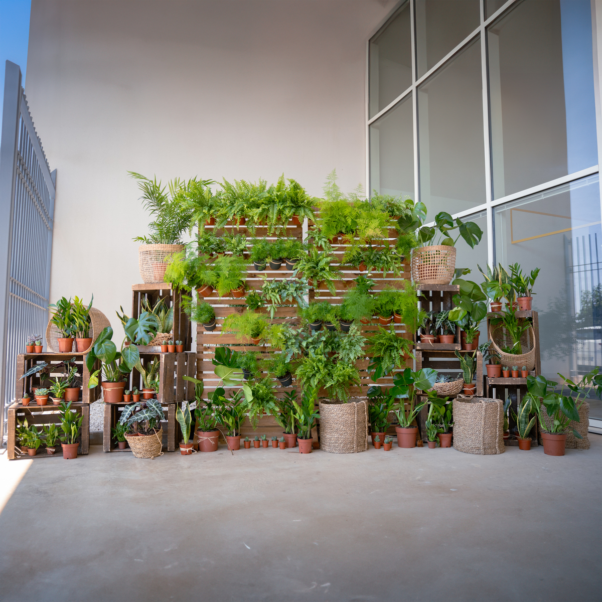 Un mur végétal pour vos évènements d’entreprise à Montpellier