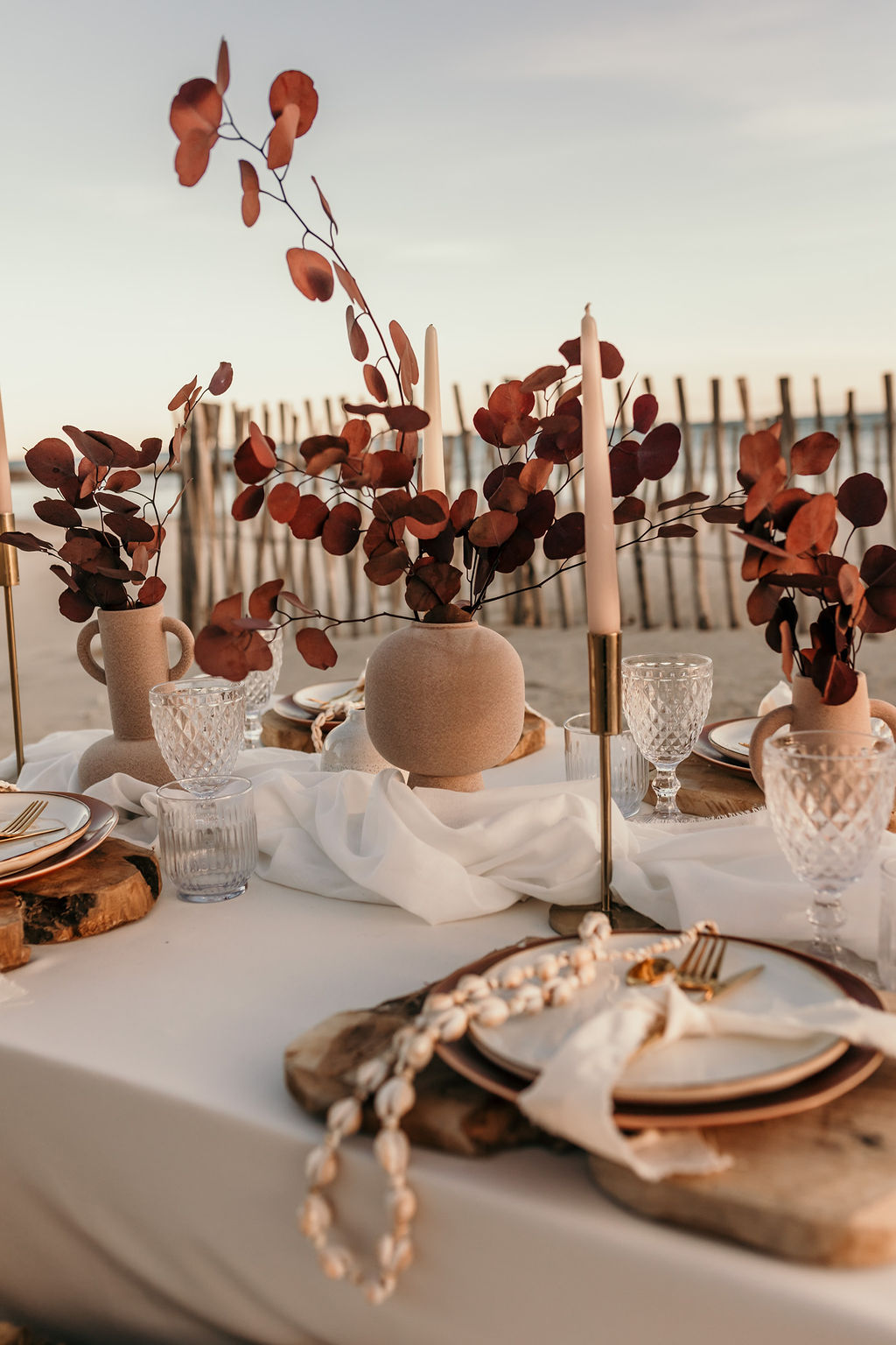 Fleurs séchées sur l’arche sur une plage dans l’Hérault