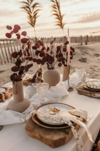 Fleurs séchées sur l’arche sur une plage dans l’Hérault