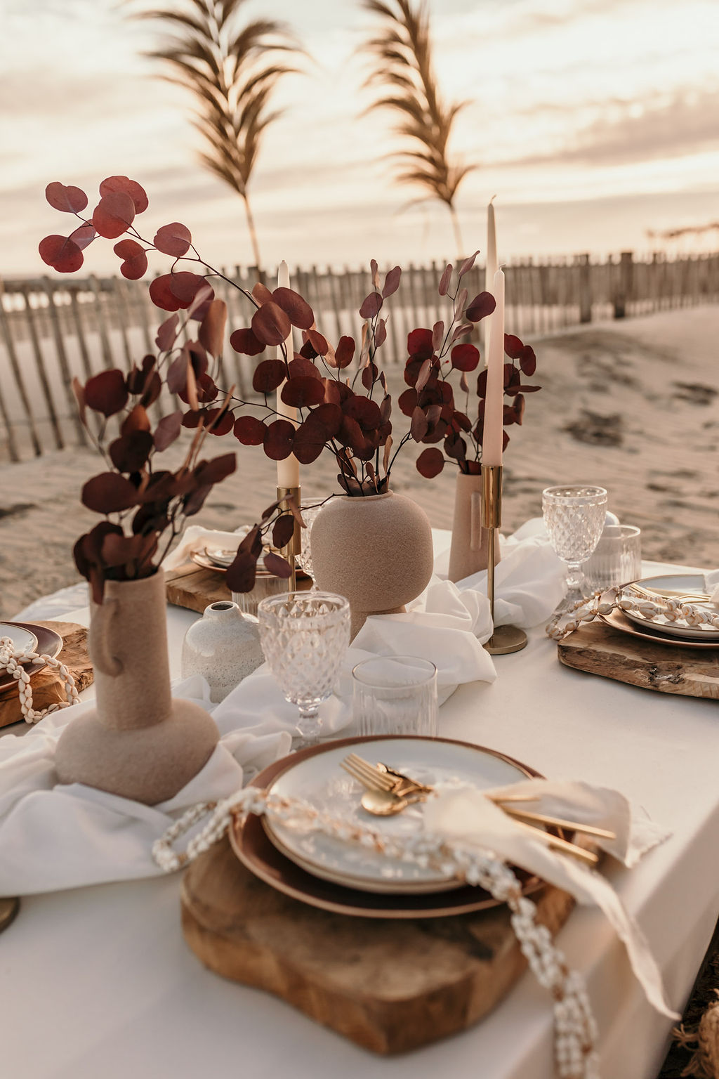 Fleurs séchées sur l’arche sur une plage dans l’Hérault