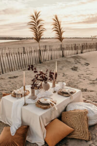 Fleurs séchées sur l’arche sur une plage dans l’Hérault
