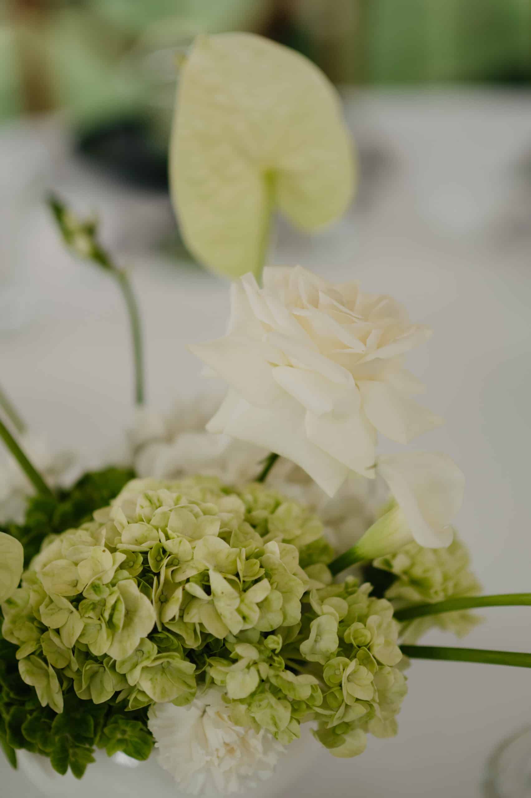 Rose blanche et hortensia vert pistache au centre d'une composition moderne. Un arum et un anthurium pâle complètent l'arrangement.