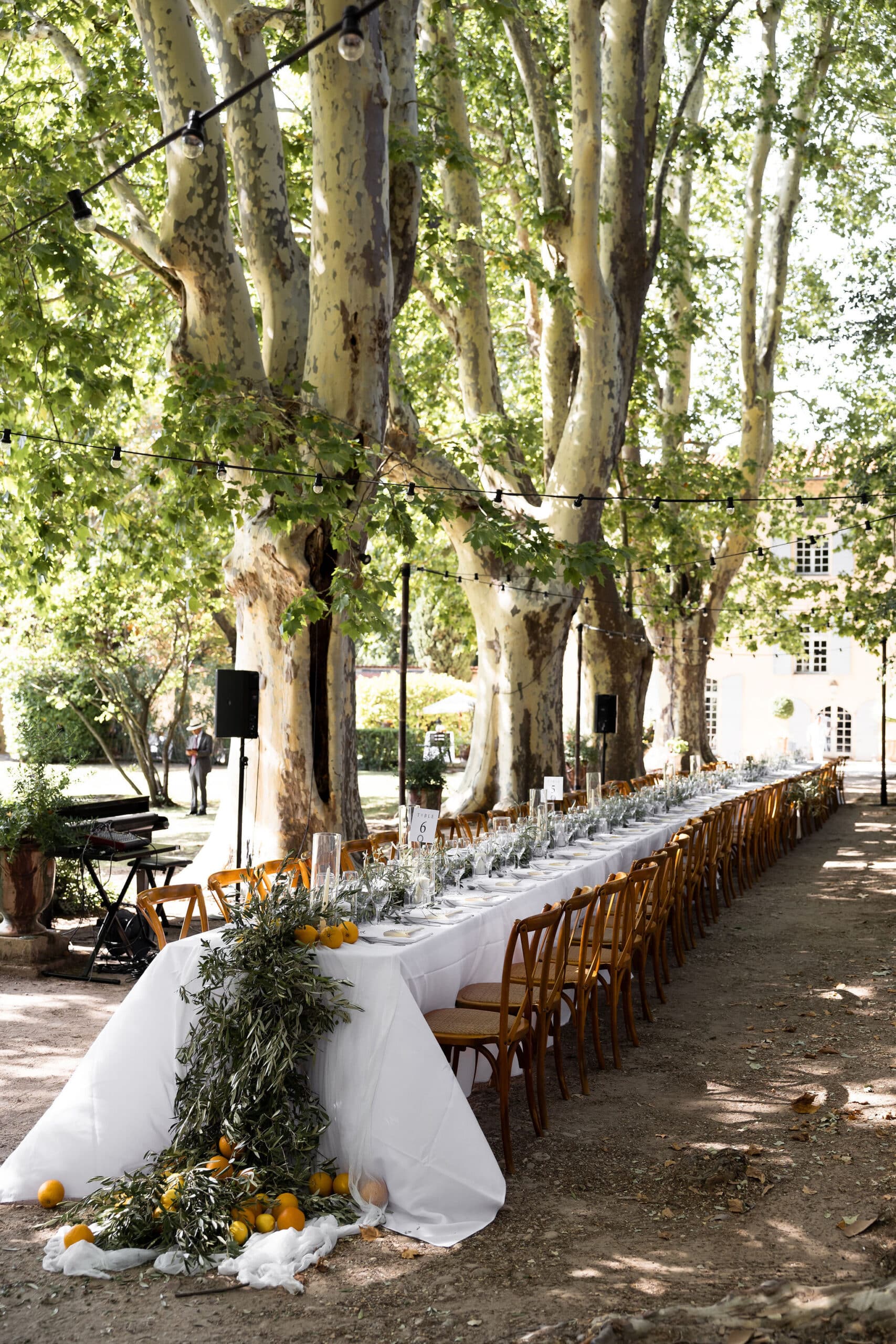 Grande table de mariage sous les platanes, décorée d'olivier et d'agrumes. Guirlandes lumineuses et chaises bois. Ambiance Provençale élégante.