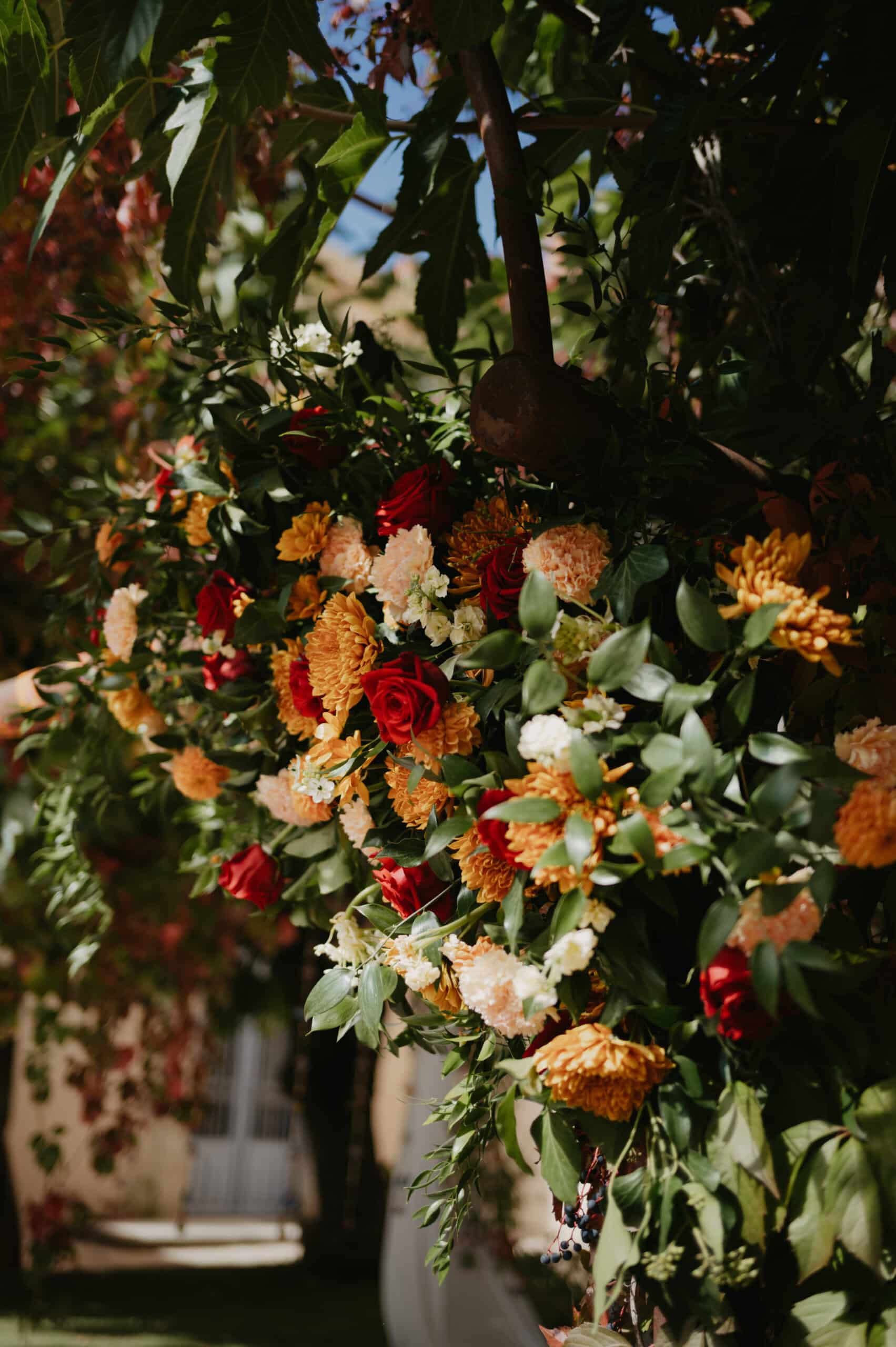 Arrangement floral extérieur avec roses rouges, chrysanthèmes orange et carnations pêche sur une arche rustique. Décor d'événement.